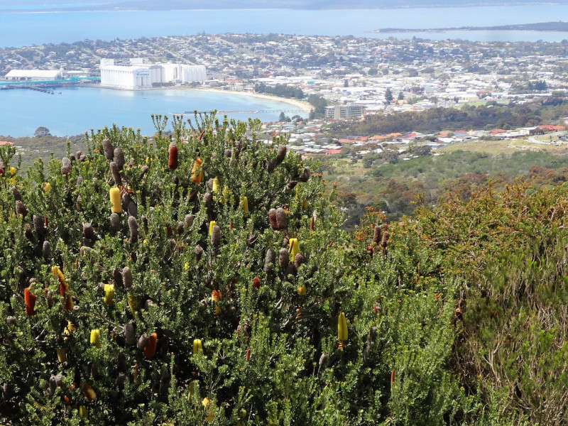 Port Lincoln, Melbourne Cup Holiday