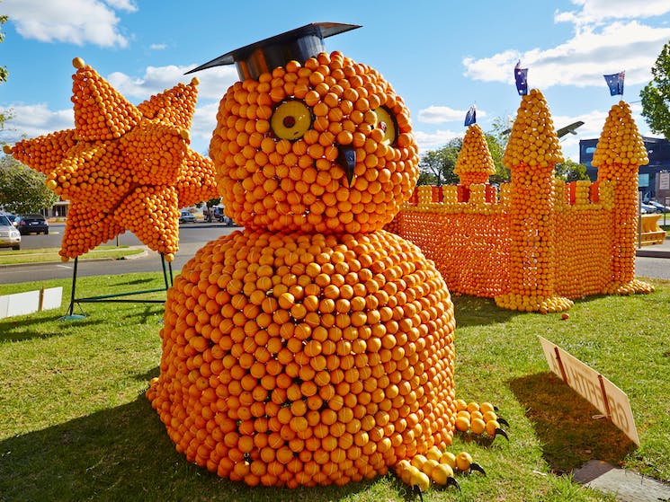 Lamble Tours Riverina & Griffith Spring Festival